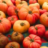A pile of red and orange heirloom tomatoes in different shapes and sizes