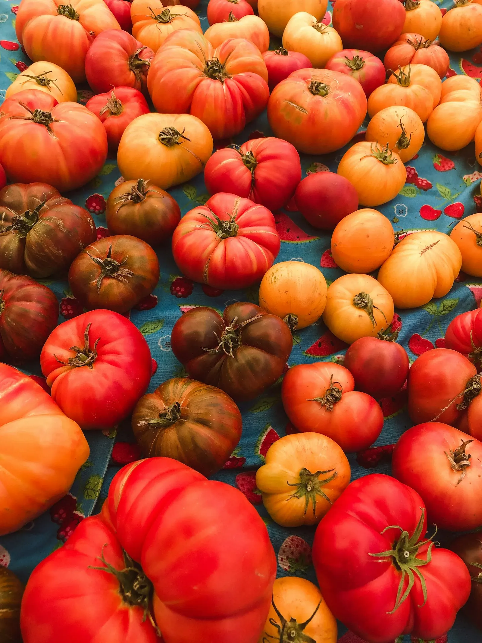 A pile of red and orange heirloom tomatoes in different shapes and sizes