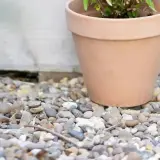 A raised garden bed filled with soil next to a terra cotta pot